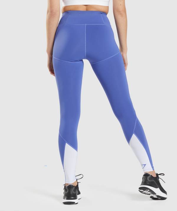 Damske Legíny Gymshark Pulse Mesh Modre Siva / Biele Modre | JM3629781